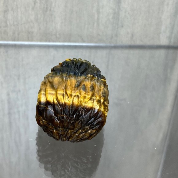 Tiger eye hedgehog - Picture 6 of 6